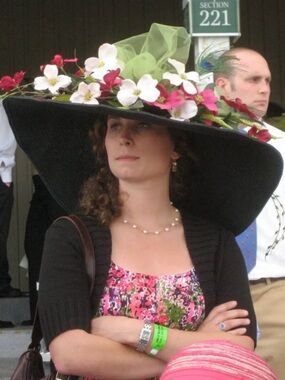 Meet your Posher, Sierra